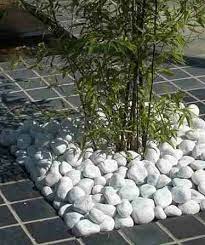 White Garden Polished Pebbles